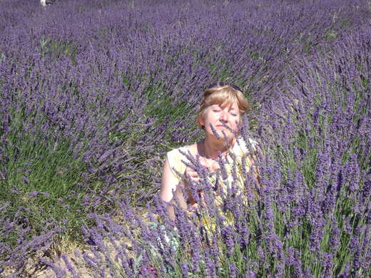 provence 256.jpg